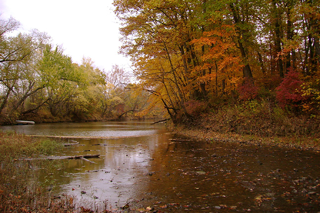 Fall Photos